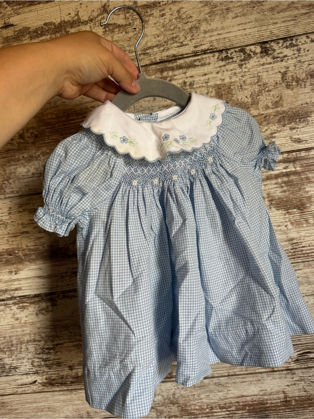 Vintage Blue Gingham Baby Dress with Embroidered Peter Pan Collar
